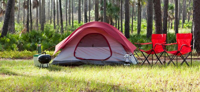 Camping tent in Florida woods