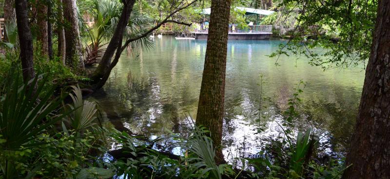 Homosassa Springs headspring at the state park