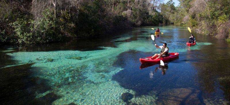 Kayakers on the Weekiwachee River