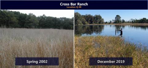 Before and after restoration efforts at location Q-08 in Cross Bar Ranch