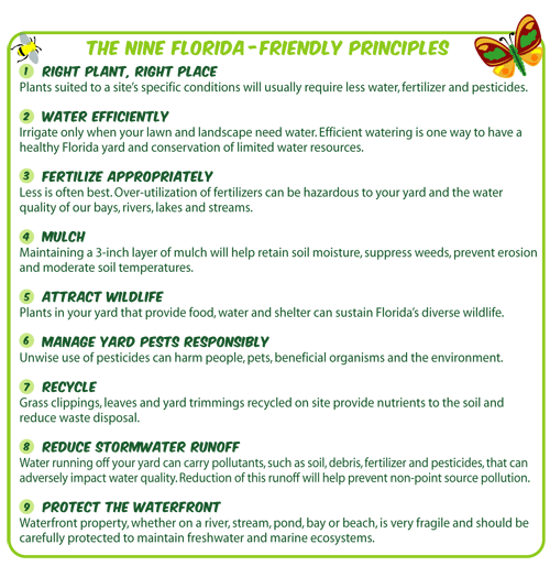 9 Principles