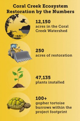 Coral Creek Infographic