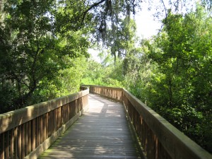 Sawgrass Lake Boardwalk