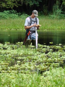 Surveying Withlacoochee