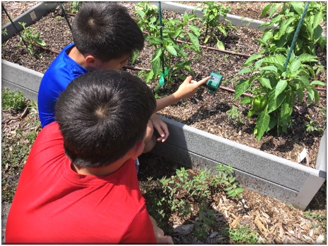 two male students gardening