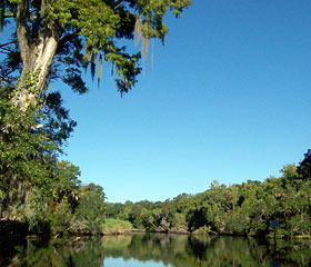 Chassahowitzka Springs