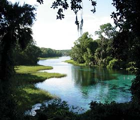 Rainbow Springs