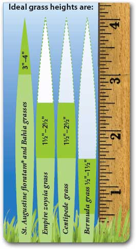 Grass Cutting Height Chart