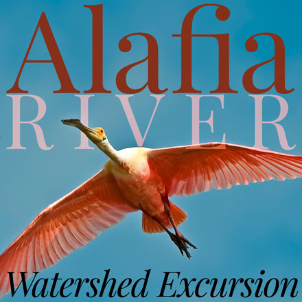 Alafia River Watershed Excursion graphic