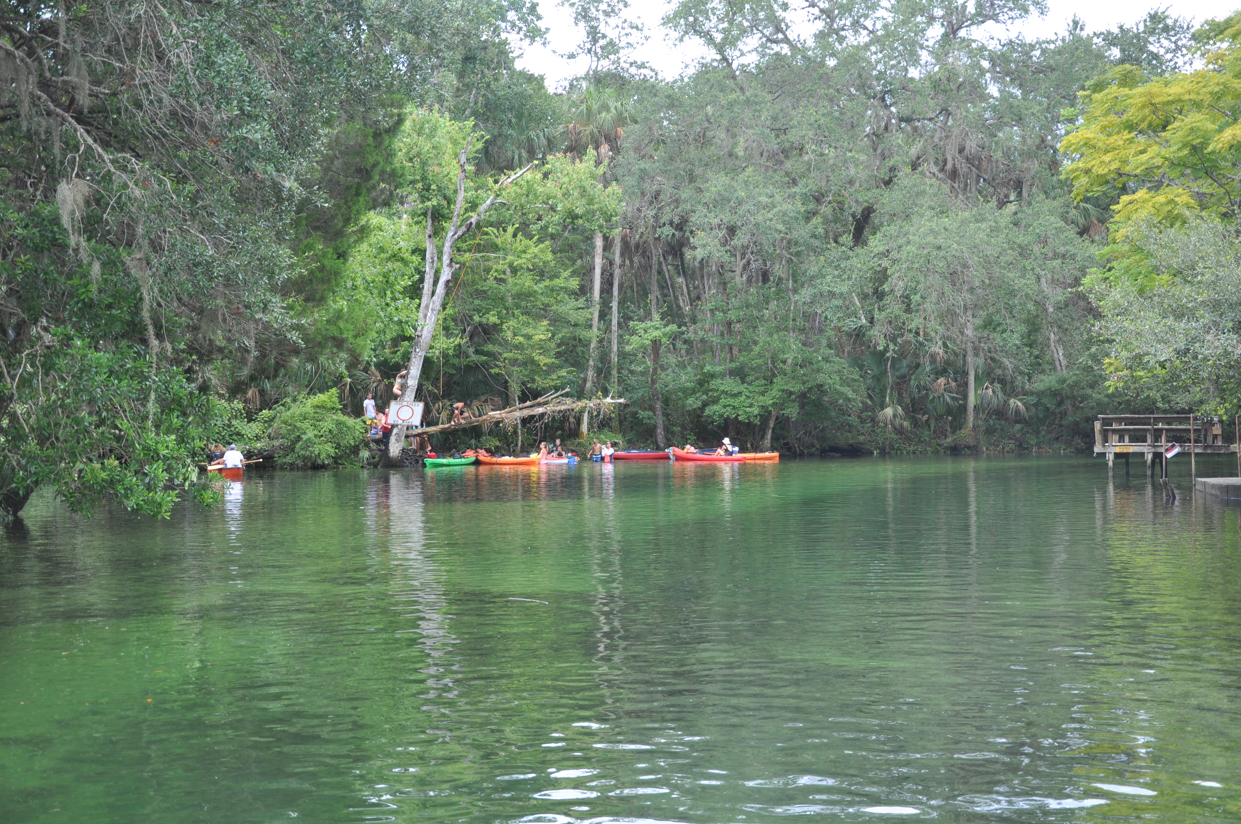 Weeki Wachee River Recreation