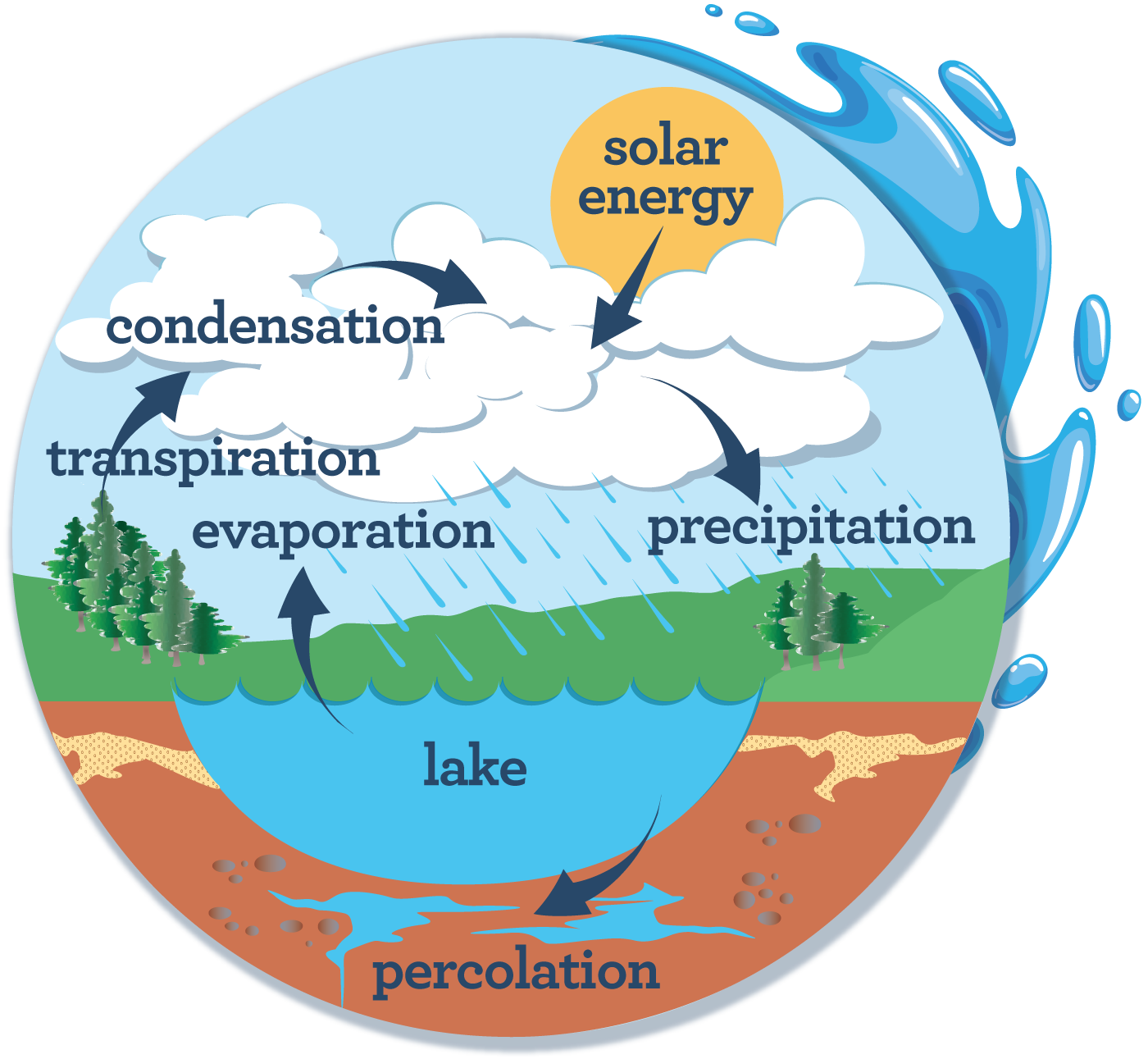 Annual watercycle