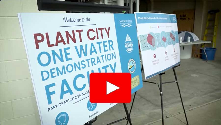 View Plant City video
