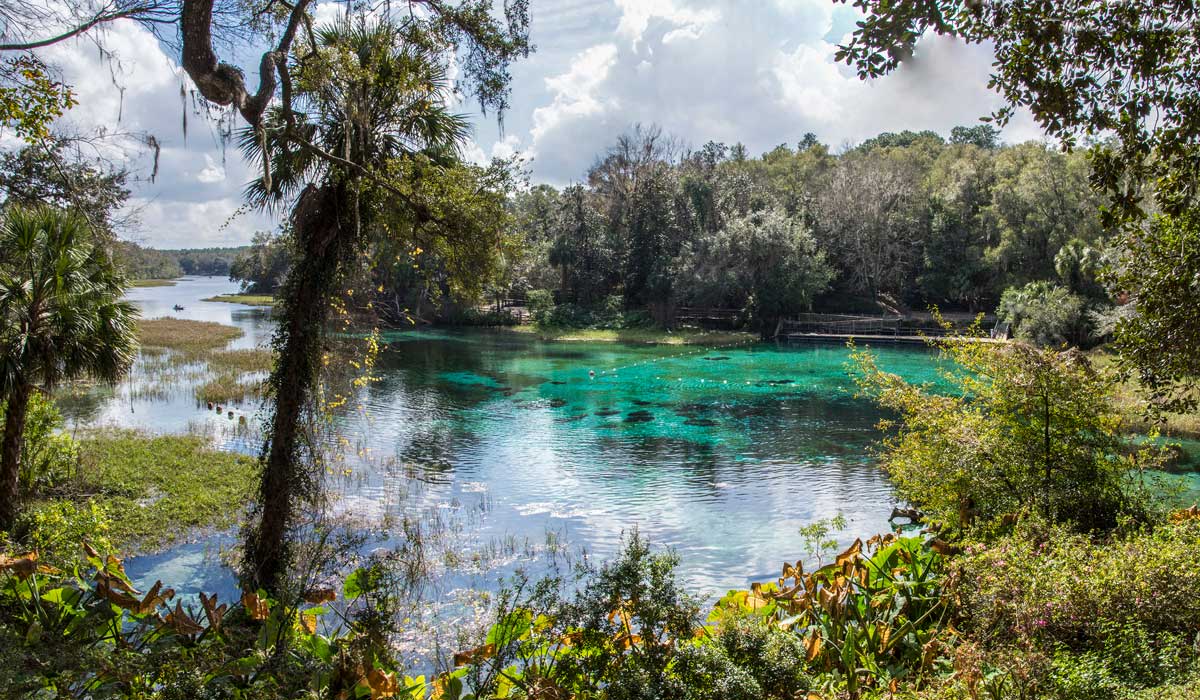 Rainbow River with green trees