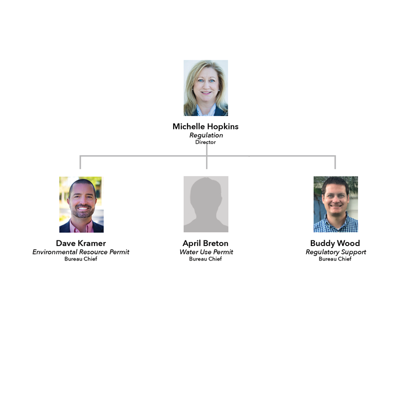 Regulation Division Organizational Chart