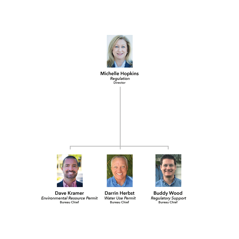 Regulation Division Organizational Chart