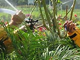 Measuring sprinkler discharge rate