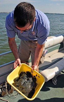 man on boat holding bucket of muck