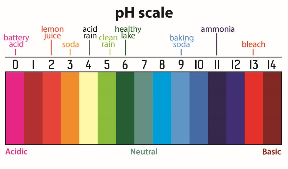 pH scale with color and number scale