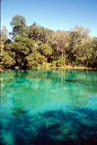 rainbow river