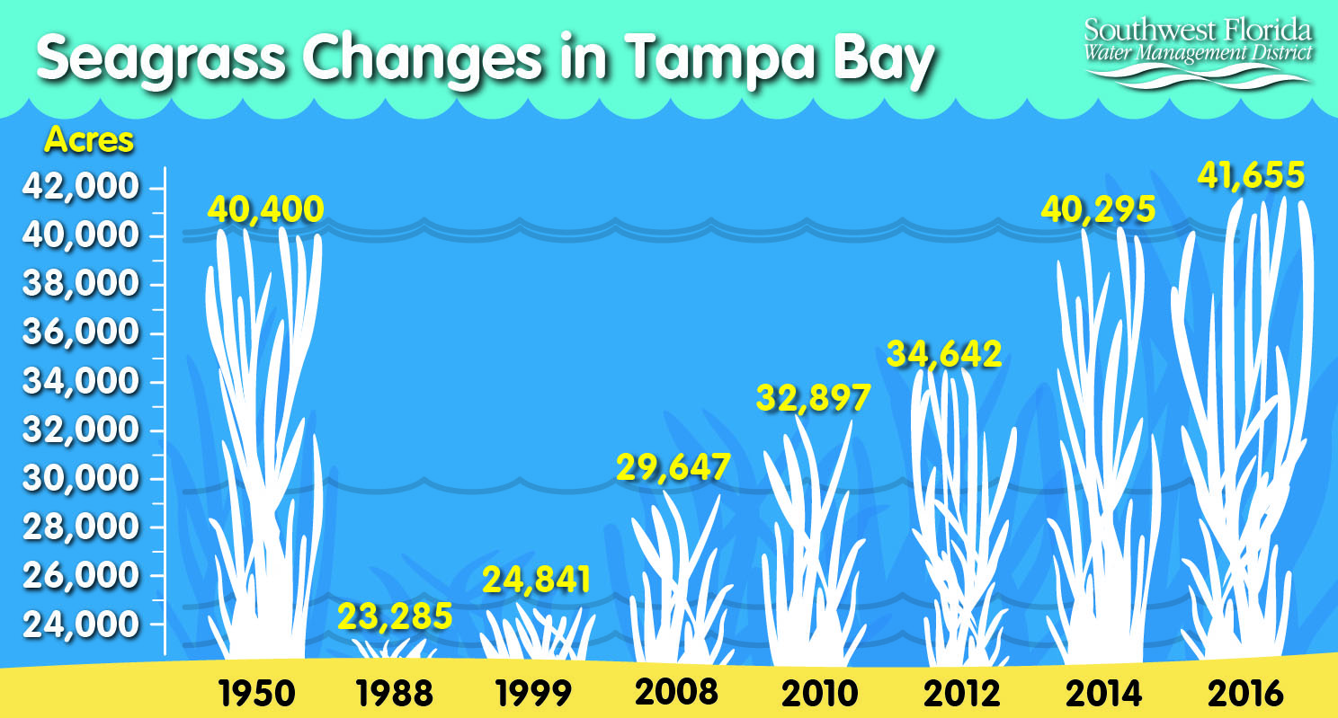 seagrass chart