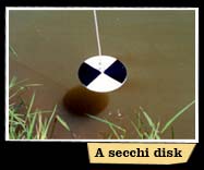 Secchi Disk