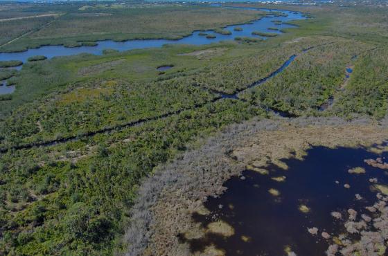This is an aerial photo of the pre-construction Cape Haze Ecosystem Restoration Project. There are large portions of green plants and shrubbery and several areas of blue where water covers the property. 