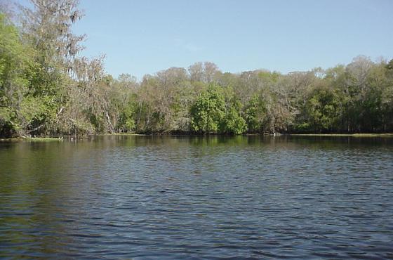 Withlacoochee River between boat ramp and Gum Slough