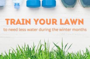 Train your lawn to need less water during the winter months