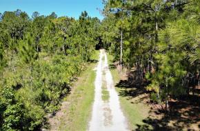 Lower Hillsborough Wilderness Preserve