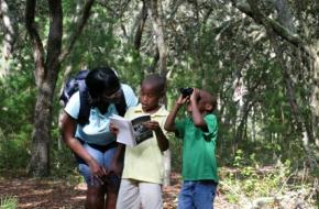 Family hiking in the woods