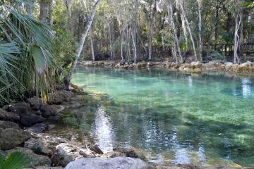 three sisters springs