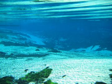 Weeki Wachee Springs underwater 