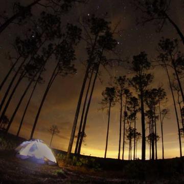 camping under the stars