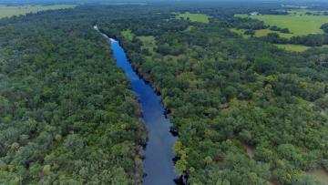 This is an image of a waterway running through a forested area at Rock Bend Property