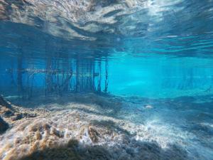 Underwater view of clear spring water
