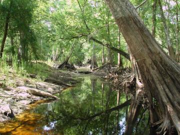 Small stream