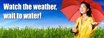 Watch the weather, wait to water