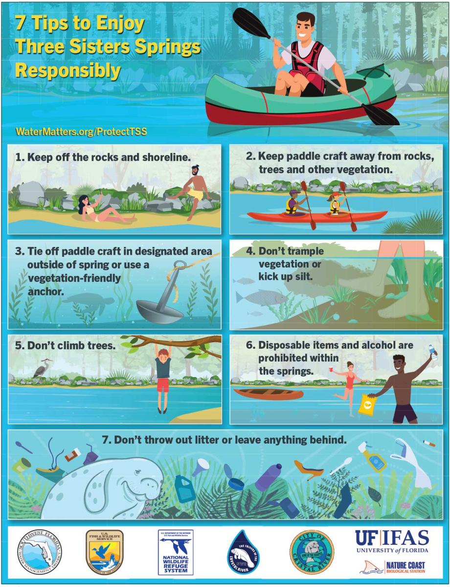 Illustrated poster of 7 tips