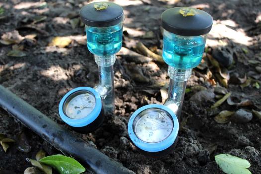 Tensiometers installed below a citrus tree