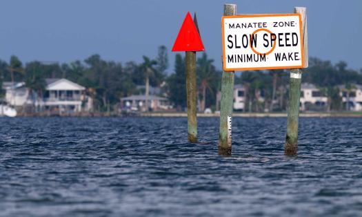 Manatee zone slow speed sign in bay