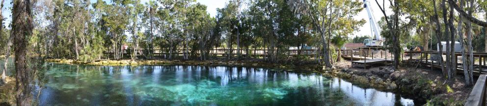 3 Sisters Springs in Citrus County panorama