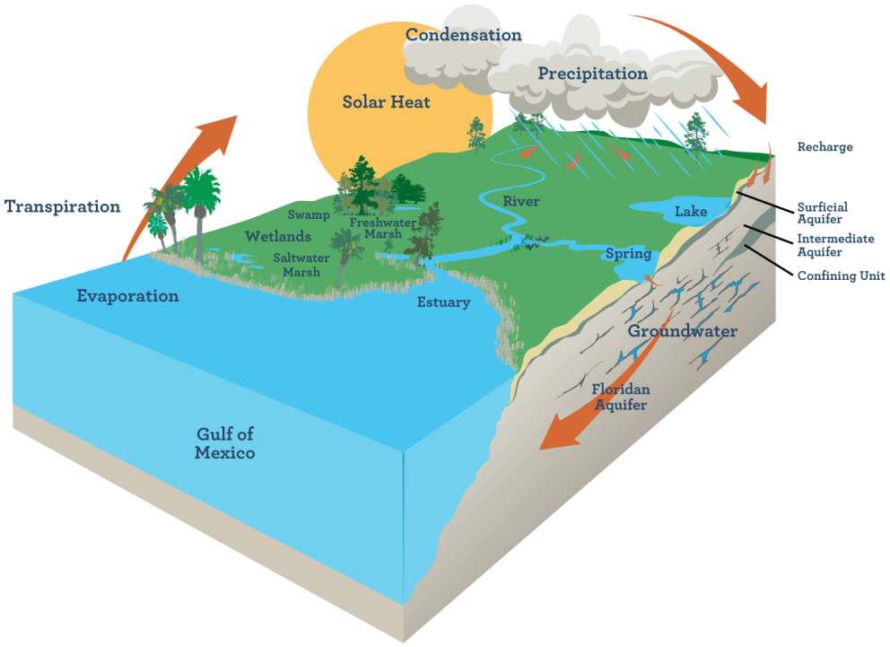 H20-Zone-Graphics [Water Basics - Floridian Aquifer].png