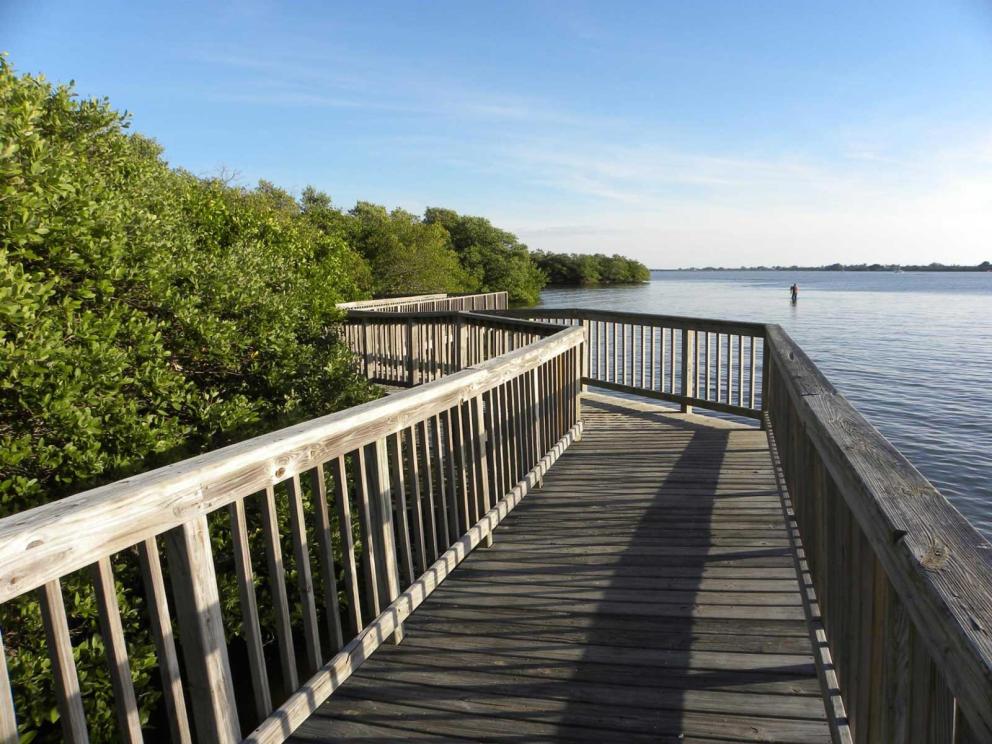 A boardwalk along the water and mangroves