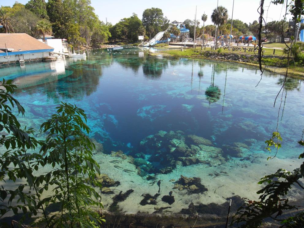 weeki wachee spring