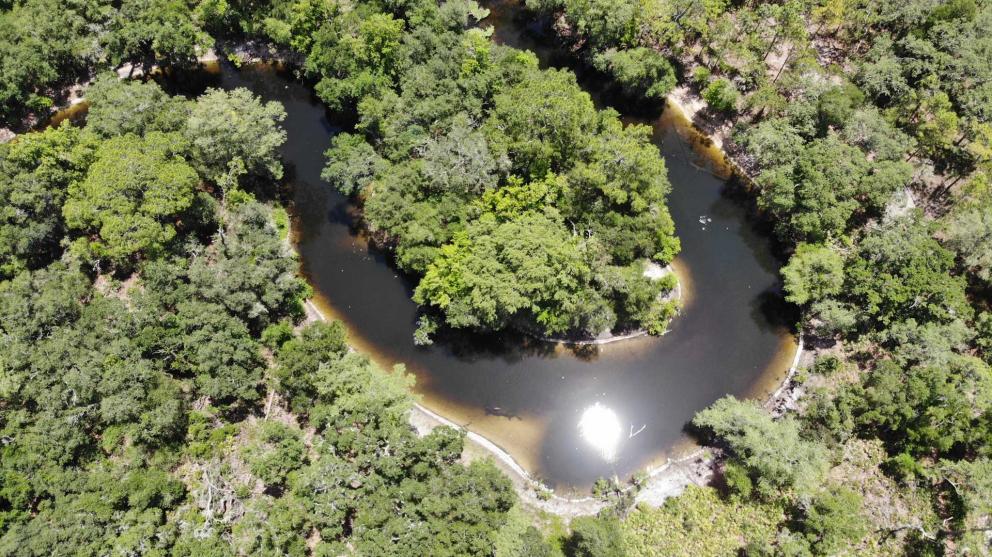 Aerial view of winding river in forest