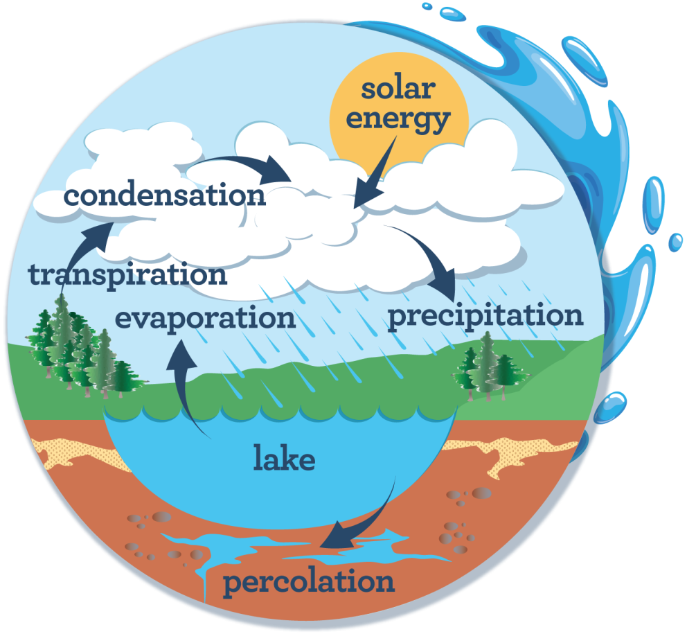 water cycle infographic
