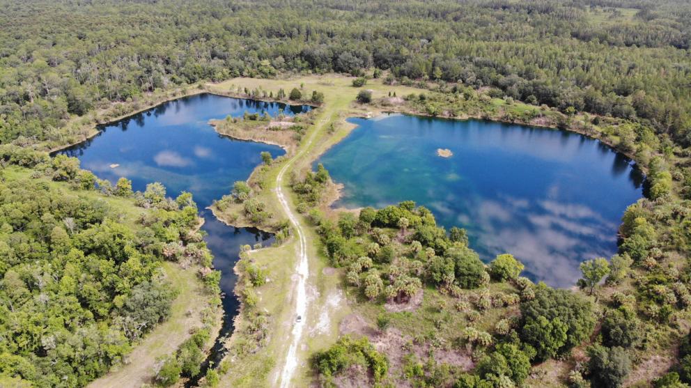 Aerial view forested area surrounding retention ponds