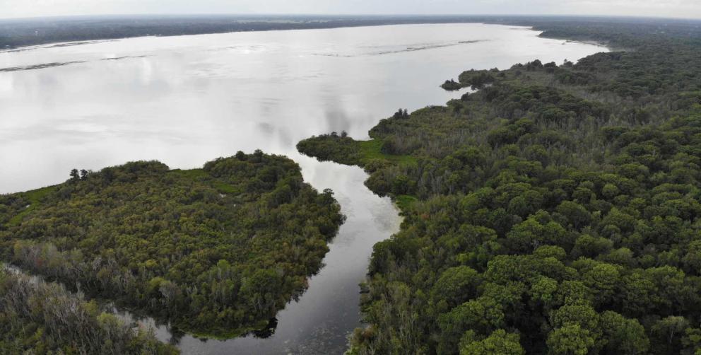 Aerial view of Lake Panasoffkee