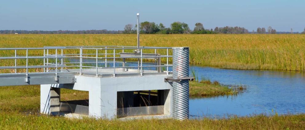 Water control structure and wetlands