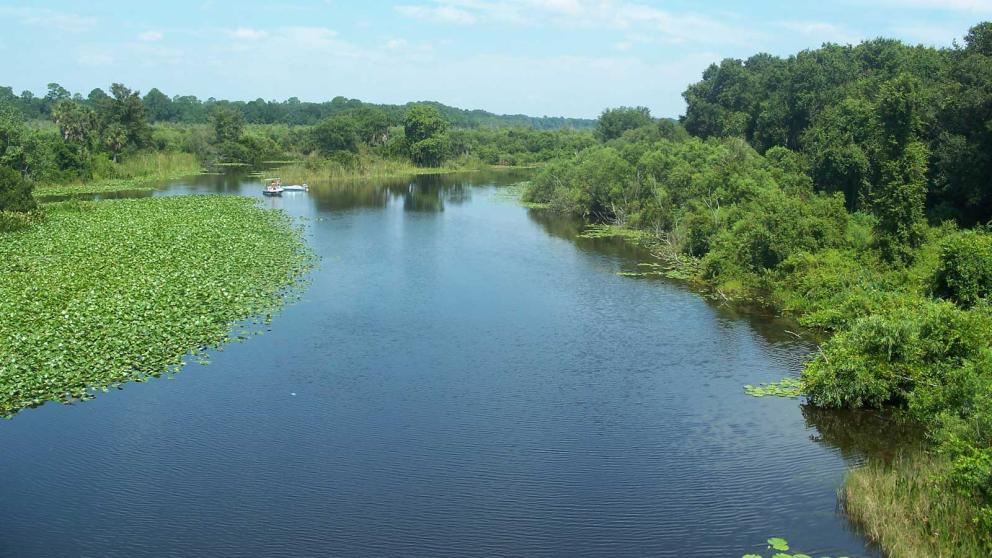 A shallow slow moving river along an open natural area